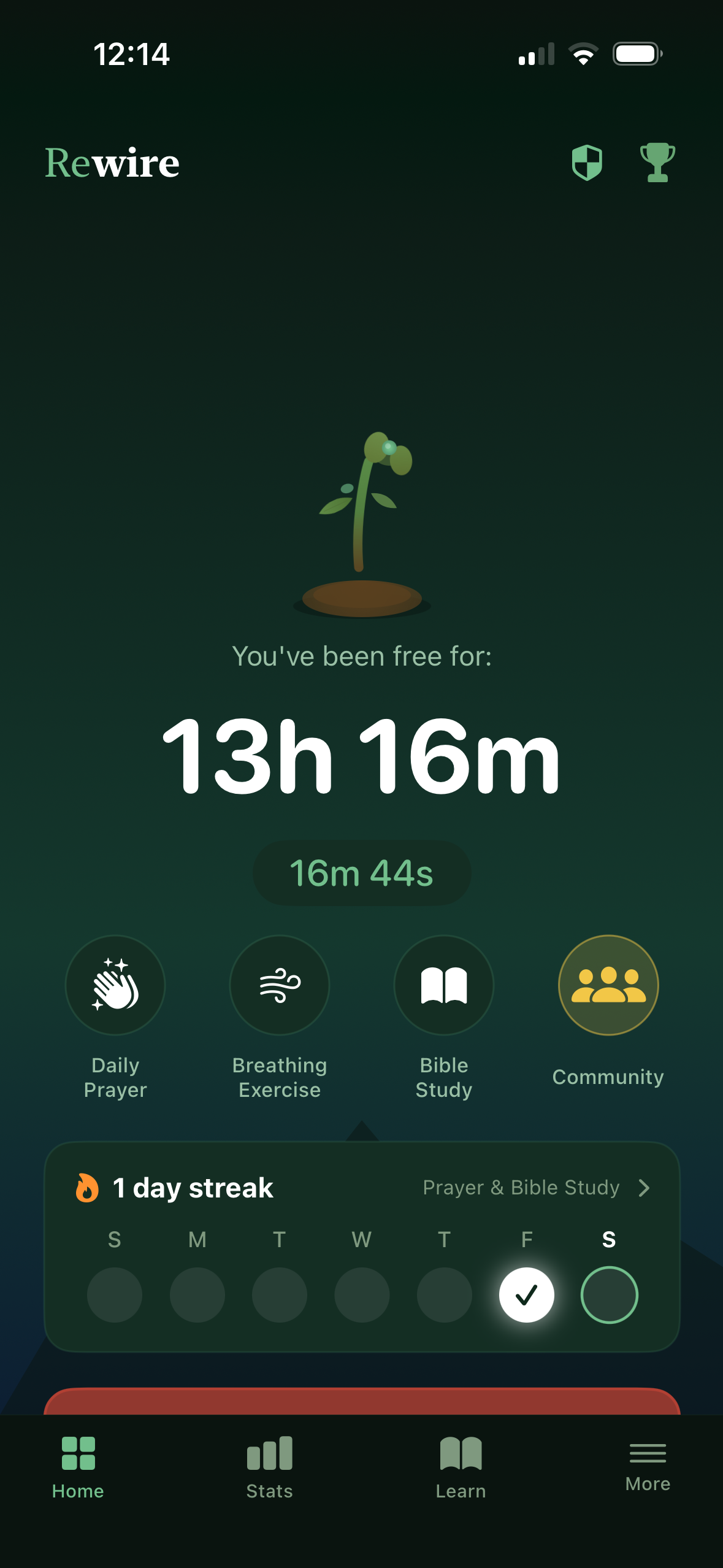 Rewire app home screen with freedom timer and growing Tree of Life